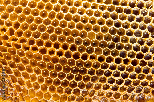 Beekeeping, honeycombs with honey. Dietary, therapeutic product.