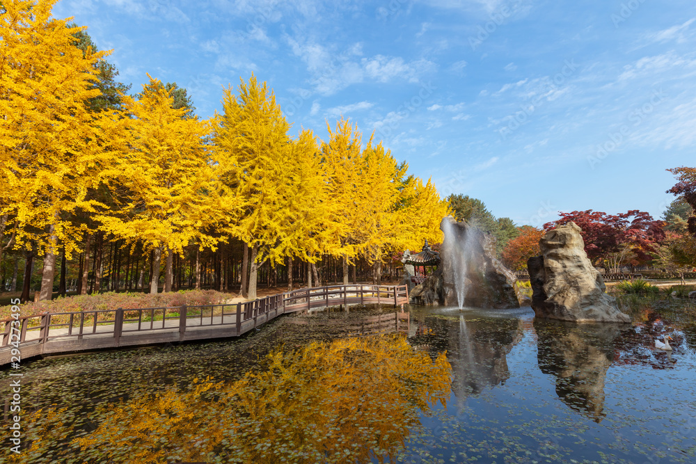 Nami Island in Autumn South Korea Nami Island in Autumn South Korea