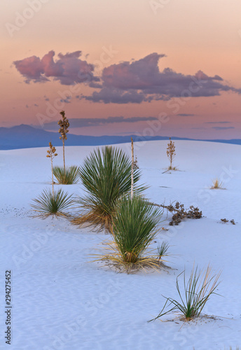 Sunset in the White Sands national Monument, New Mexico, USA