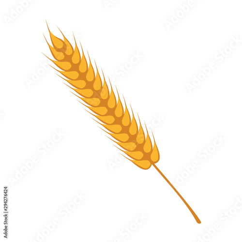 wheat spikes decoration isolated icon