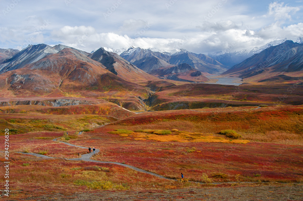 Fototapeta premium Fall color and snow-capped peaks in Denali National Park, Alaska, USA.