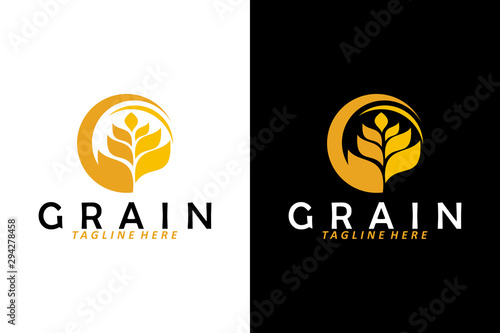 wheat grain logo icon vector isolated photo