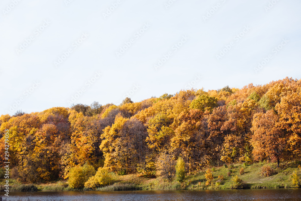Beautiful sunny autumn landscape with fallen dry red and yellow leaves