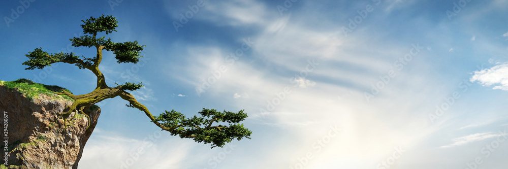 Fototapeta premium stare drzewo rosnące na skale przed niebem, fantastyczny krajobraz