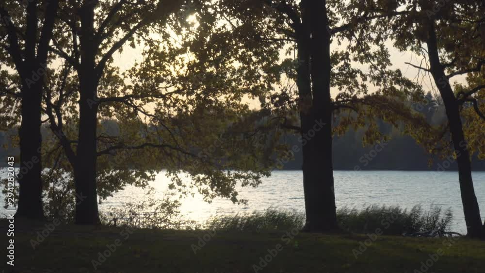 autumn sunset in an oak grove on the lake, dolly shot autumn sunset in an oak grove on the lake, dolly shot