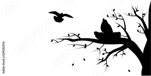 Branch silhouette silhouette nest illustration