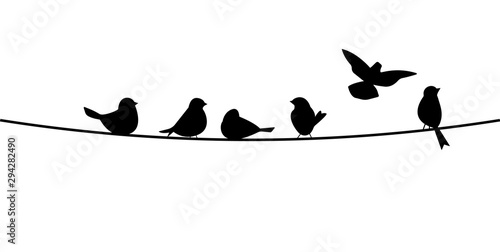 Flying bird branch silhouette illustration