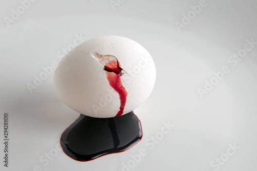 rejection of animal food: blood flows from a cracked white egg, short focus
