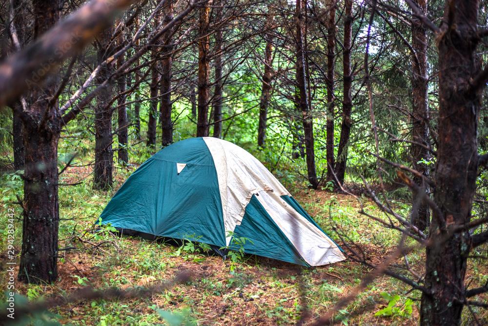 tent in the forest