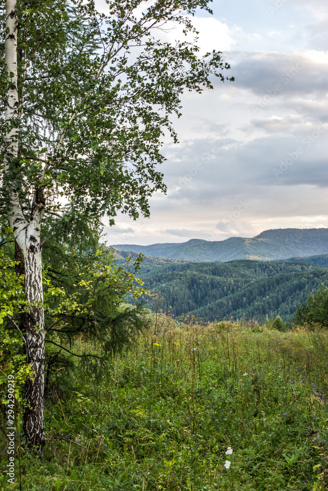 Fototapeta premium landscape with mountains and clouds