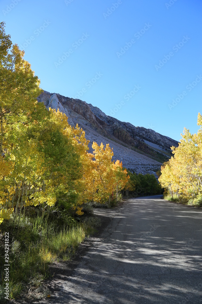 Naklejka premium Autumn colors in the california eastern sierras