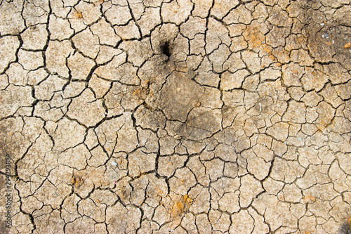cracked ground for background.save the world environment concept