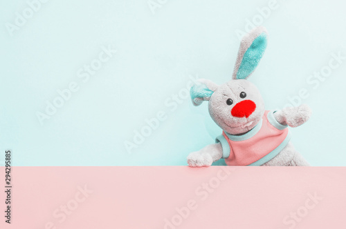 Peeping toy bunny.  Soft skiey and pink color. Hide and seek game photo