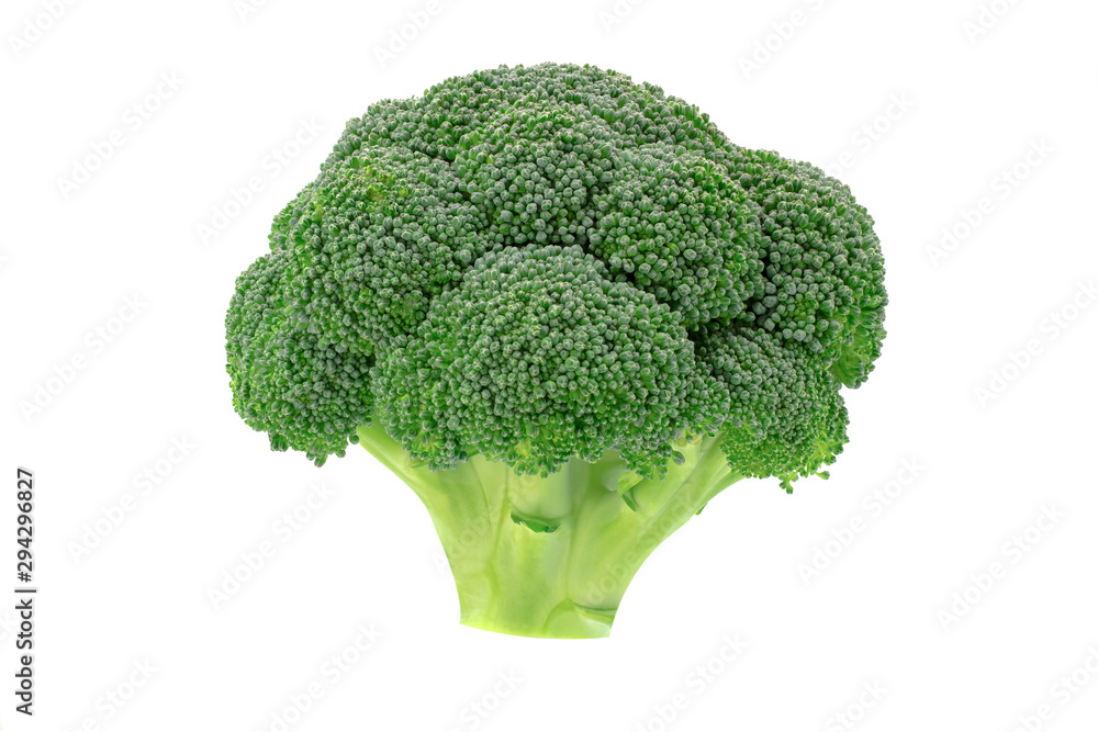 Broccoli isolated on white background. Healthy food. Broccoli isolated on white background. Healthy food.
