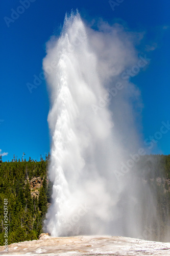 Old Faithful geyser shooting into the air in August at Yellowstone Park Wyoming