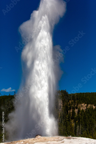 Old Faithful geyser shooting into the air in Yellowstone Park Wyoming