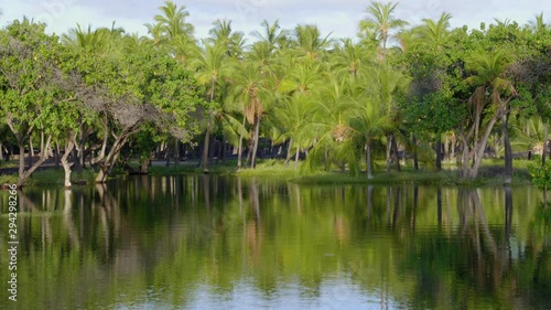 Beautiful Light Ocean View Walk to Auberge Hotel at Mauna Lani Ponds Hawaii Sunset photo