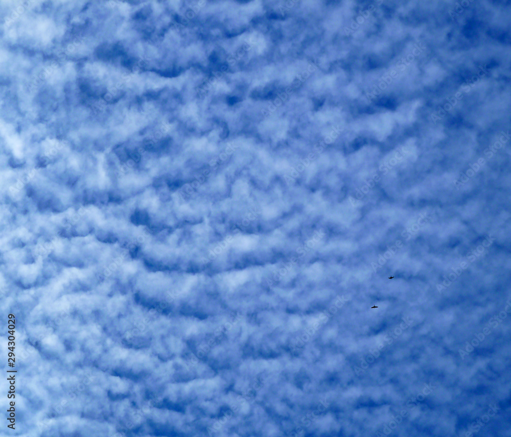 Cirrostratus Altocumulus clouds. Blue sky with white clouds. Beautiful sky background. Clear day, good weather.  Blue sky cloudy background. 
