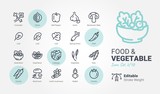 Food & Vegetable vector icon collection