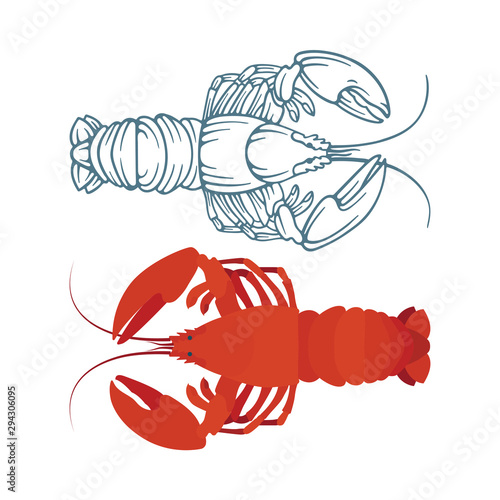 Lobster. Sketch and realistic drawn lobsters vector illustrations set. Part of seafood set. 