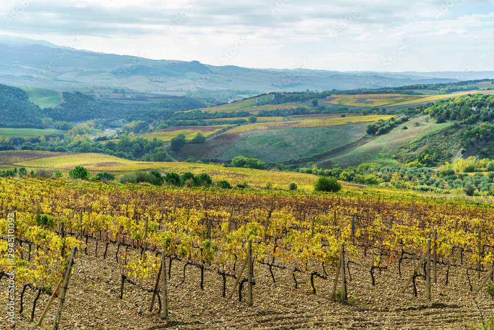 Vineyards In Autumn, Tuscany, Italy.