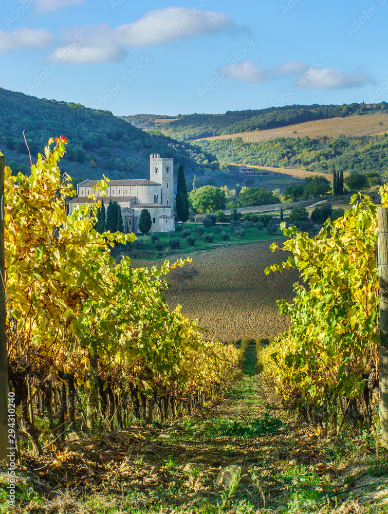 Naklejka premium Winnice Jesienią, Toskania, Włochy.