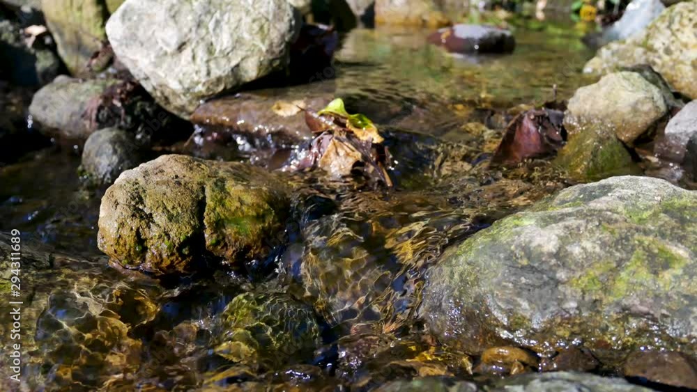 Close up of mountain water stream