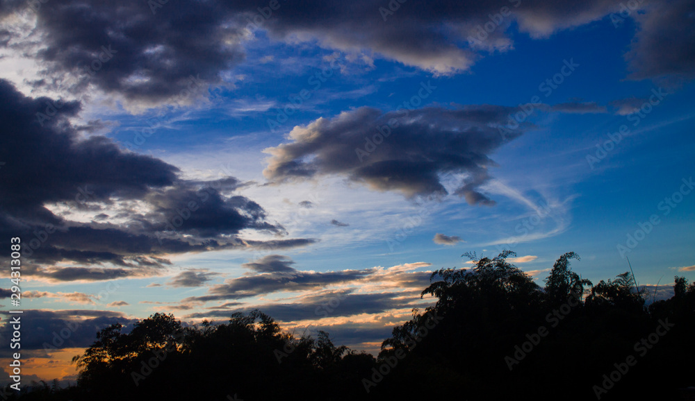 atardecer con nubes y silueta de arboles