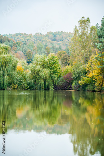 Beautiful colorful autumn leaves and trees on the lake