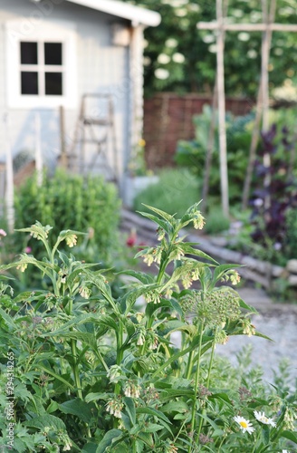 Light grey garden house in vegetable garden