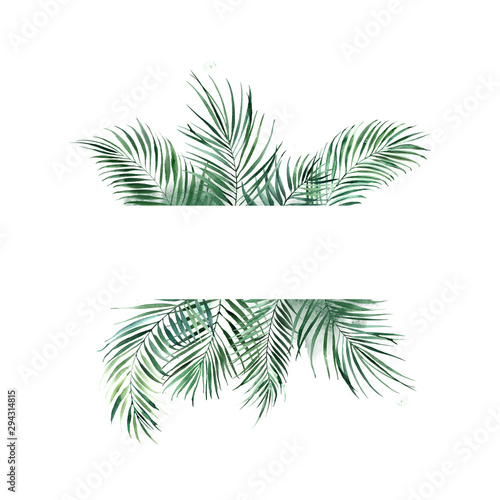 Frame of green tropical palm leaves. Natural design.