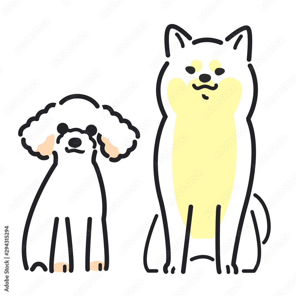 犬 ポーズ 表情 2匹 柴犬 トイプードル 犬 ポーズ 表情 2匹 柴犬 トイプードル