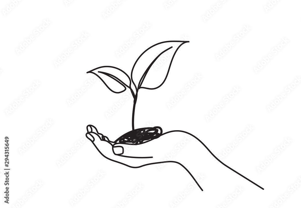 Plant Sprout Drawing