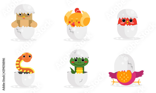Cute New Born Animals In Eggs Vector Illustration Set