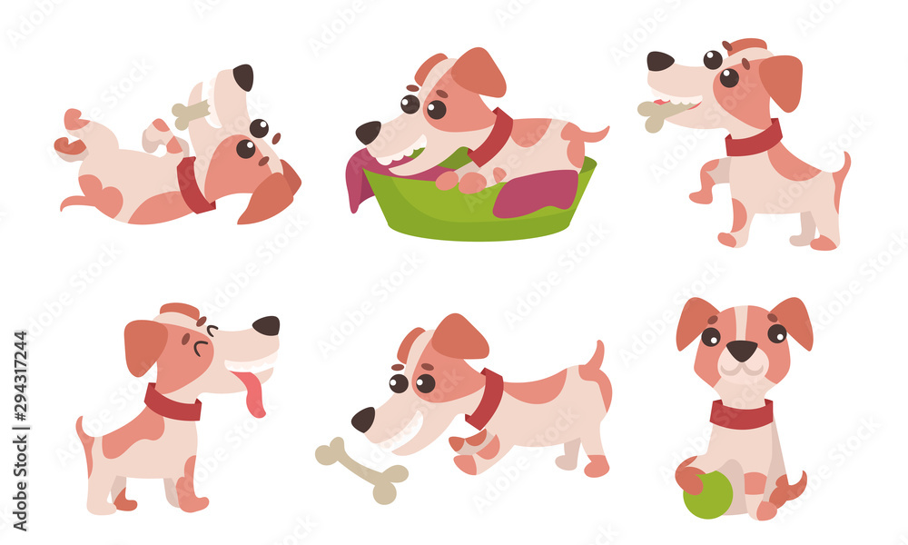 Vector Illustrations Characters Set With Cute Jack Russell Terrier Daily Activity