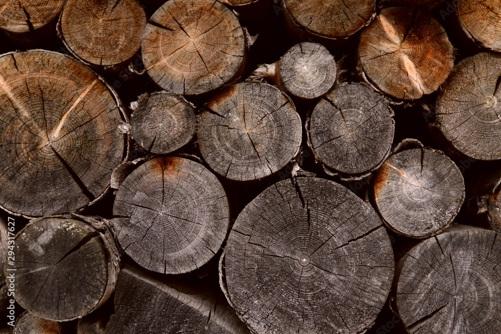 Background texture of round saw cut hardwood. Close-up, horizontal, cropped shot, free space. Construction and woodworking concept. Background texture of round saw cut hardwood. Close-up, horizontal, cropped shot, free space. Construction and woodworking concept.