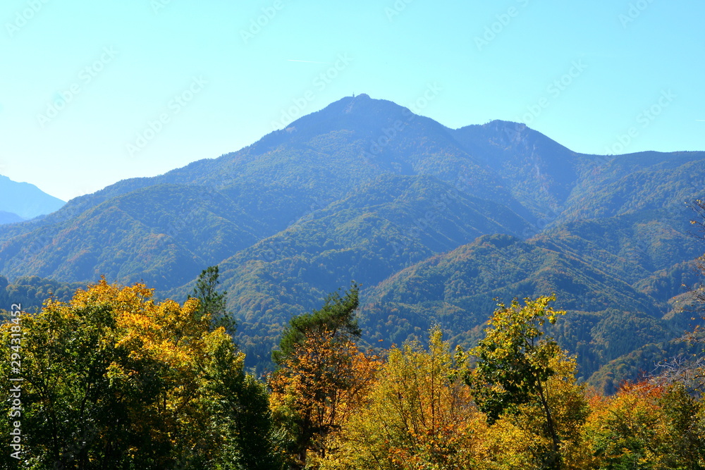 Typical landscape in the forests of Transylvania, Romania. Green landscape in the midsummer, in a sunny day