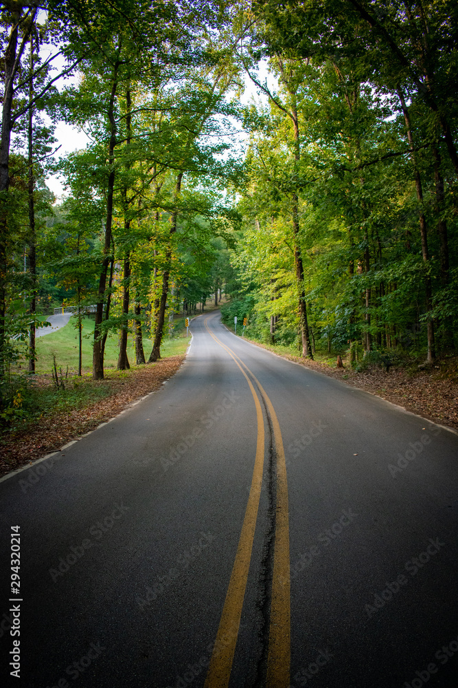 road in the forest