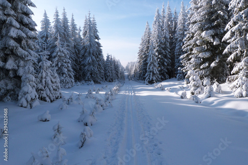 Wilderness cross-country skiing in Ore Mountains, Czech Republic