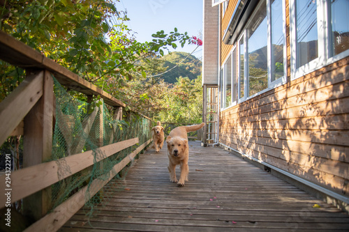 ペンション朝ねぼう