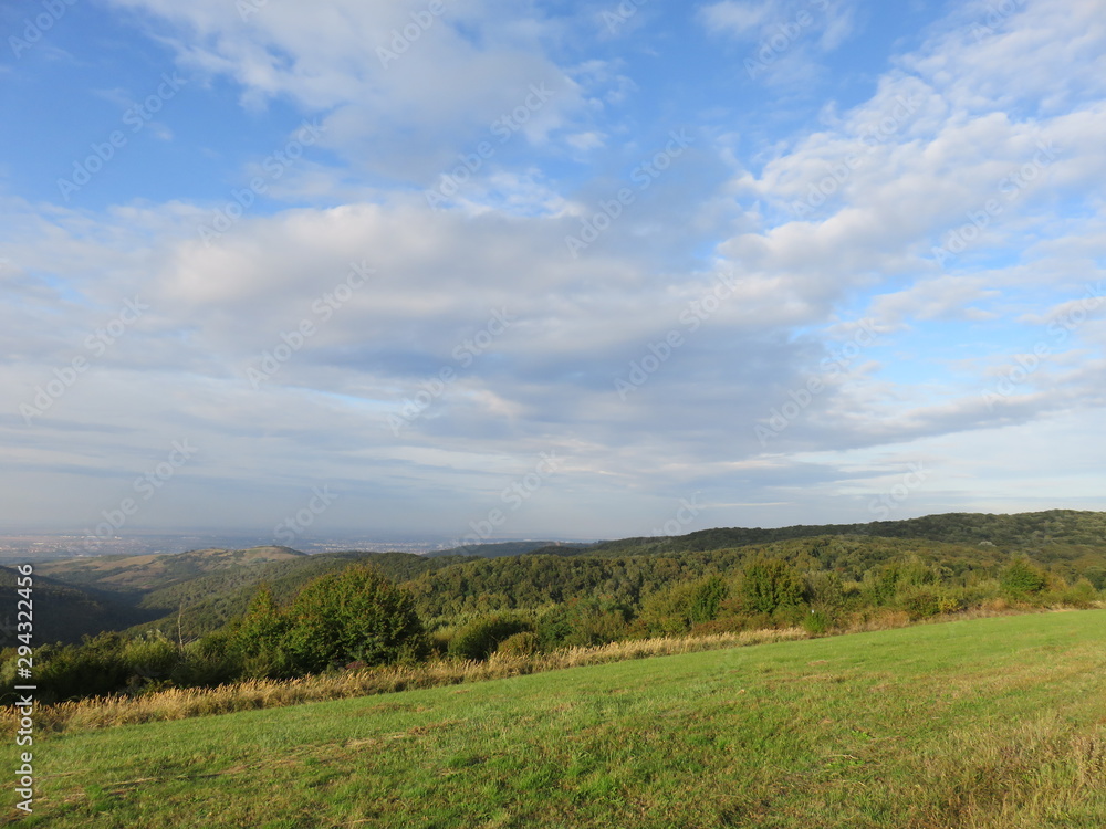 Fototapeta premium View of the sunny sky and green fields in the afternoon