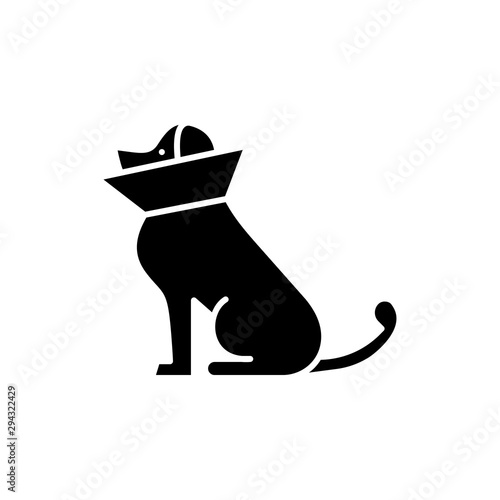 Dog, cone of shame icon. Simple glyph, flat vector of petshop icons for ui and ux, website or mobile application