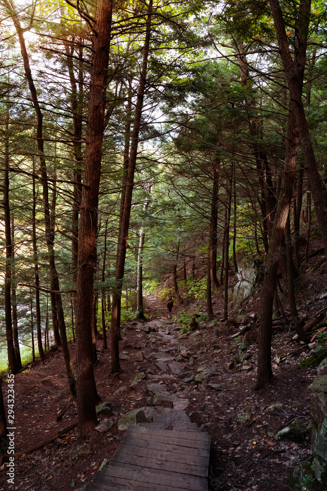 Obraz premium Stone staircase in dark forest with light coming from the top. Unrecognizable Couple climbing up in the distance. Concepts of a path, hope, pathway, journey