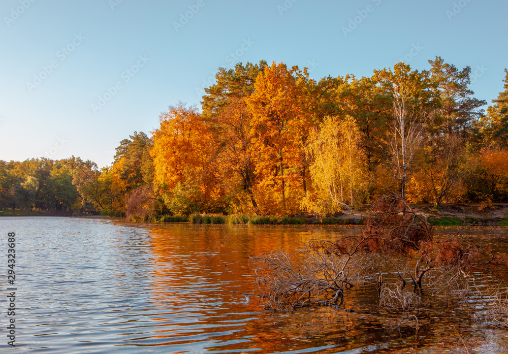 beautiful autumn landscape with falling leaves in the lake beautiful autumn landscape with falling leaves in the lake