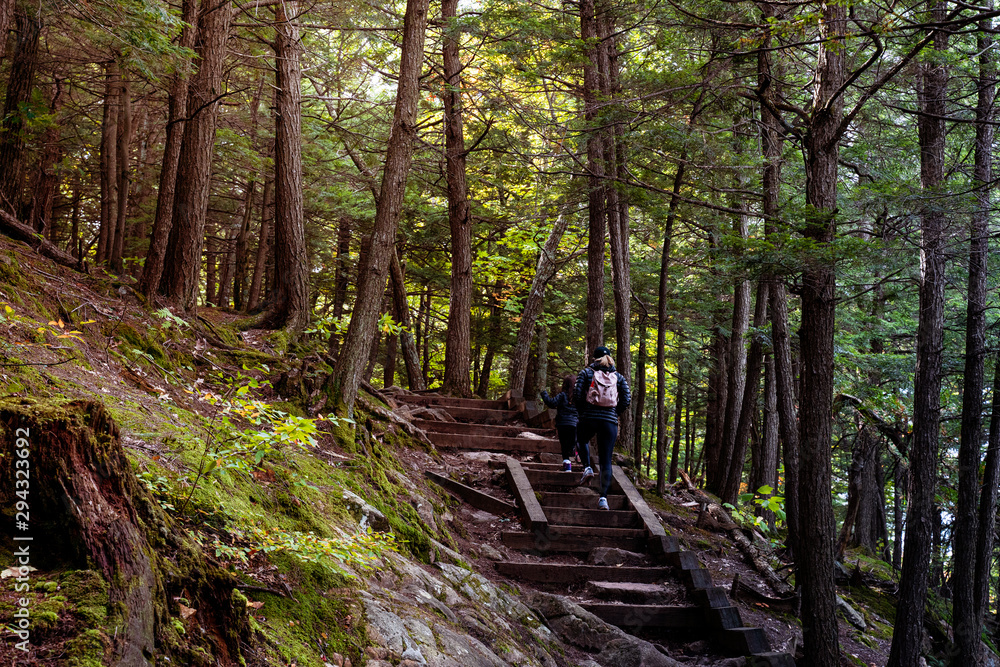 Obraz premium Mother and child going upsteps in forest in autumn in park, Seen from behind. Concepts of path, direction, support, hope. Gatineau Park, Quebec, Ontario.