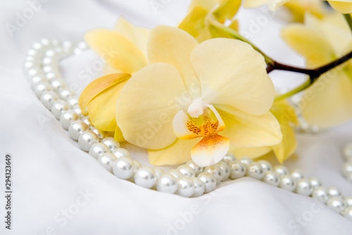 The branch of yellow orchids on white fabric background 