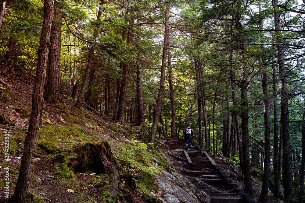 Obraz premium Mother and child going upsteps in forest in autumn in park, Seen from behind. Concepts of path, direction, support, hope. Gatineau Park, Quebec, Ontario.