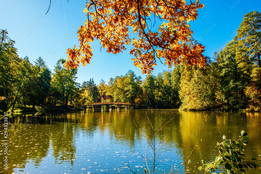Fototapeta premium beautiful autumn landscape with falling leaves in the lake
