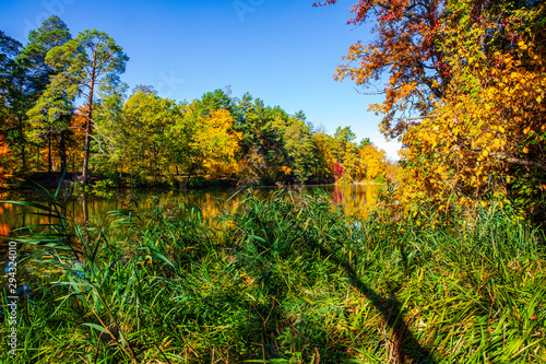 beautiful autumn landscape with falling leaves in the lake