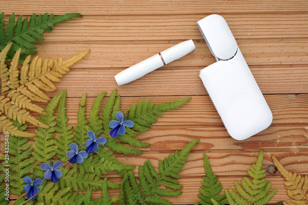 White IQOS battery with individual sticks lies on decorative abstract wooden texture with green and yellow leaves of fern White IQOS battery with individual sticks lies on decorative abstract wooden texture with green and yellow leaves of fern